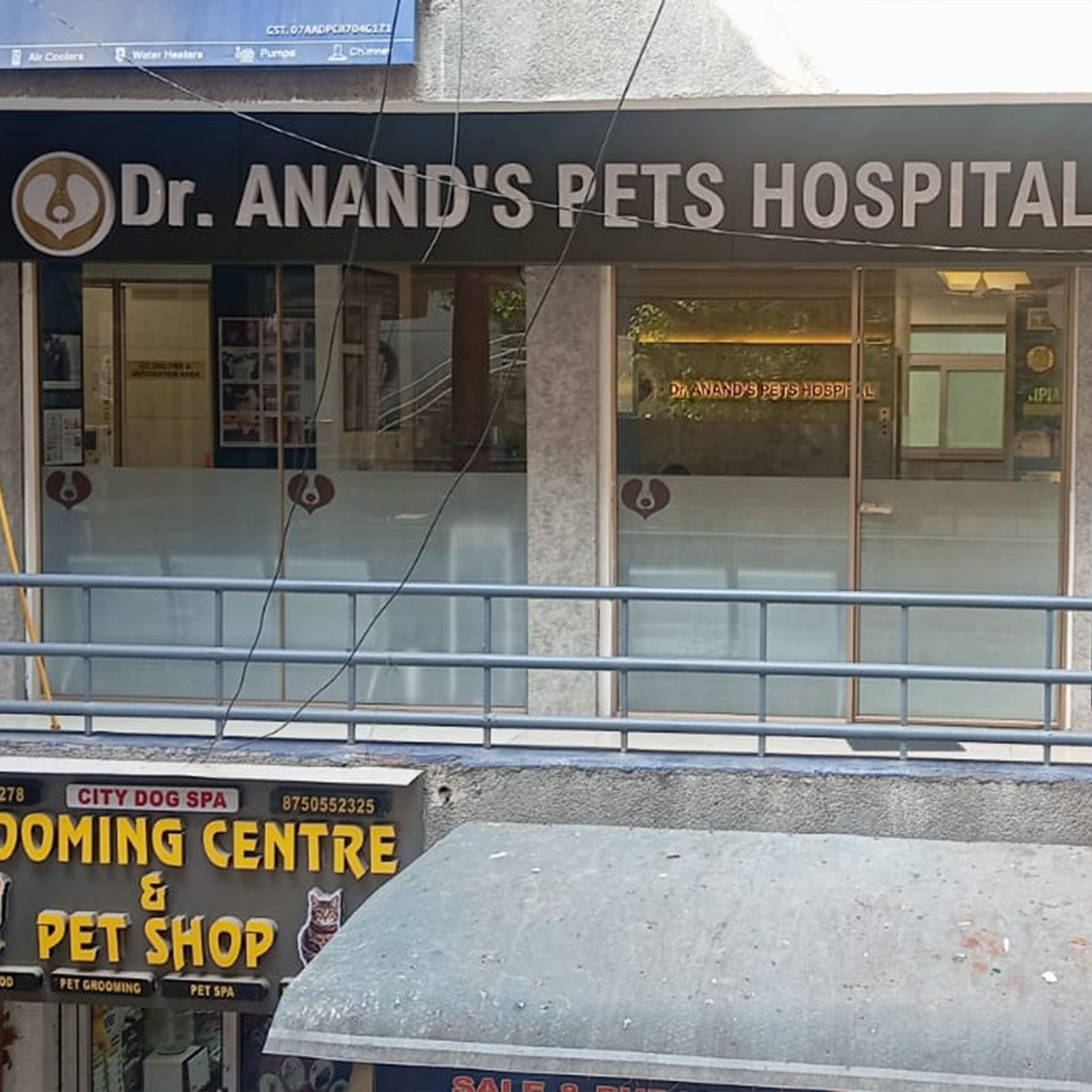 dr-anand-pet-clinic-20