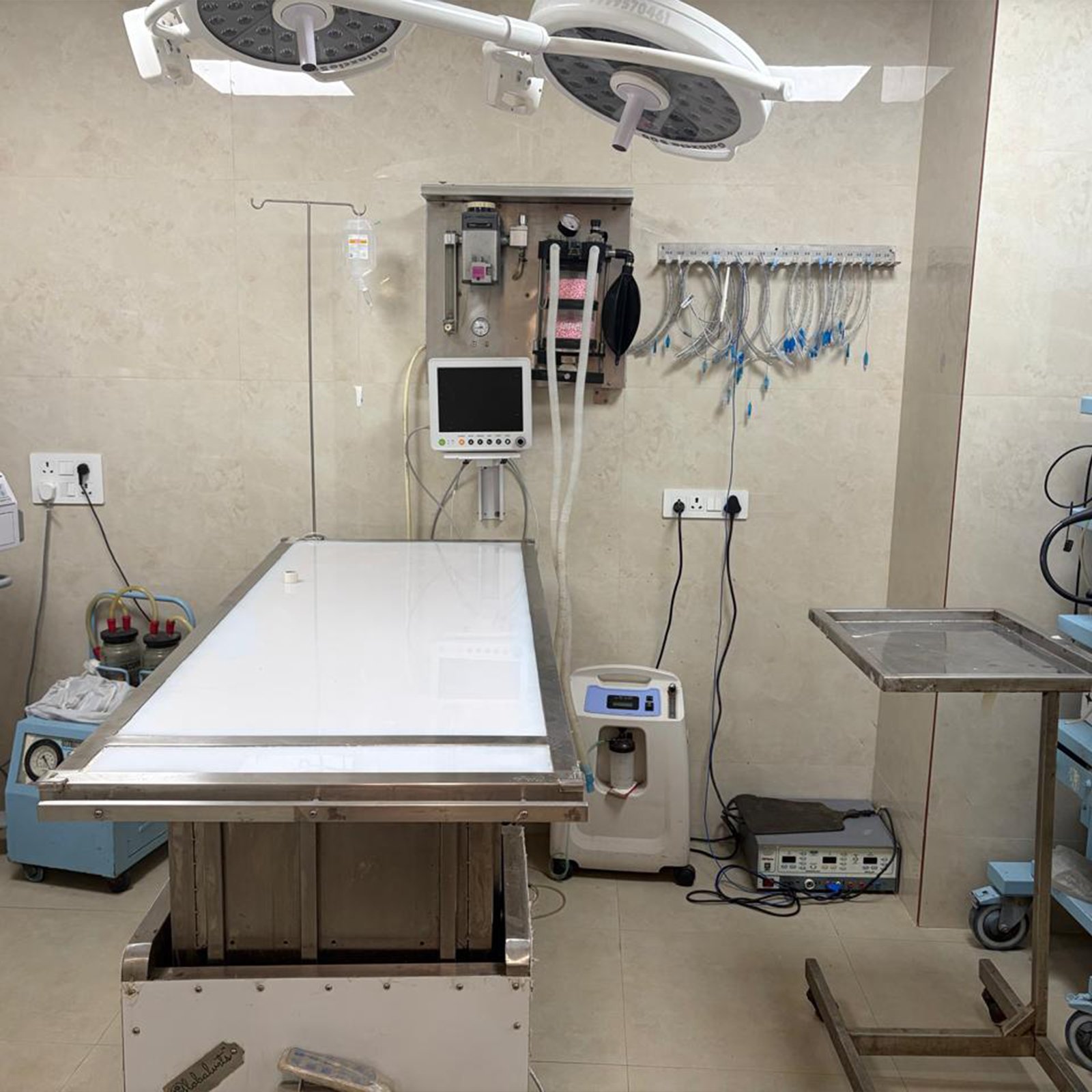 dr-anand-pet-clinic-31
