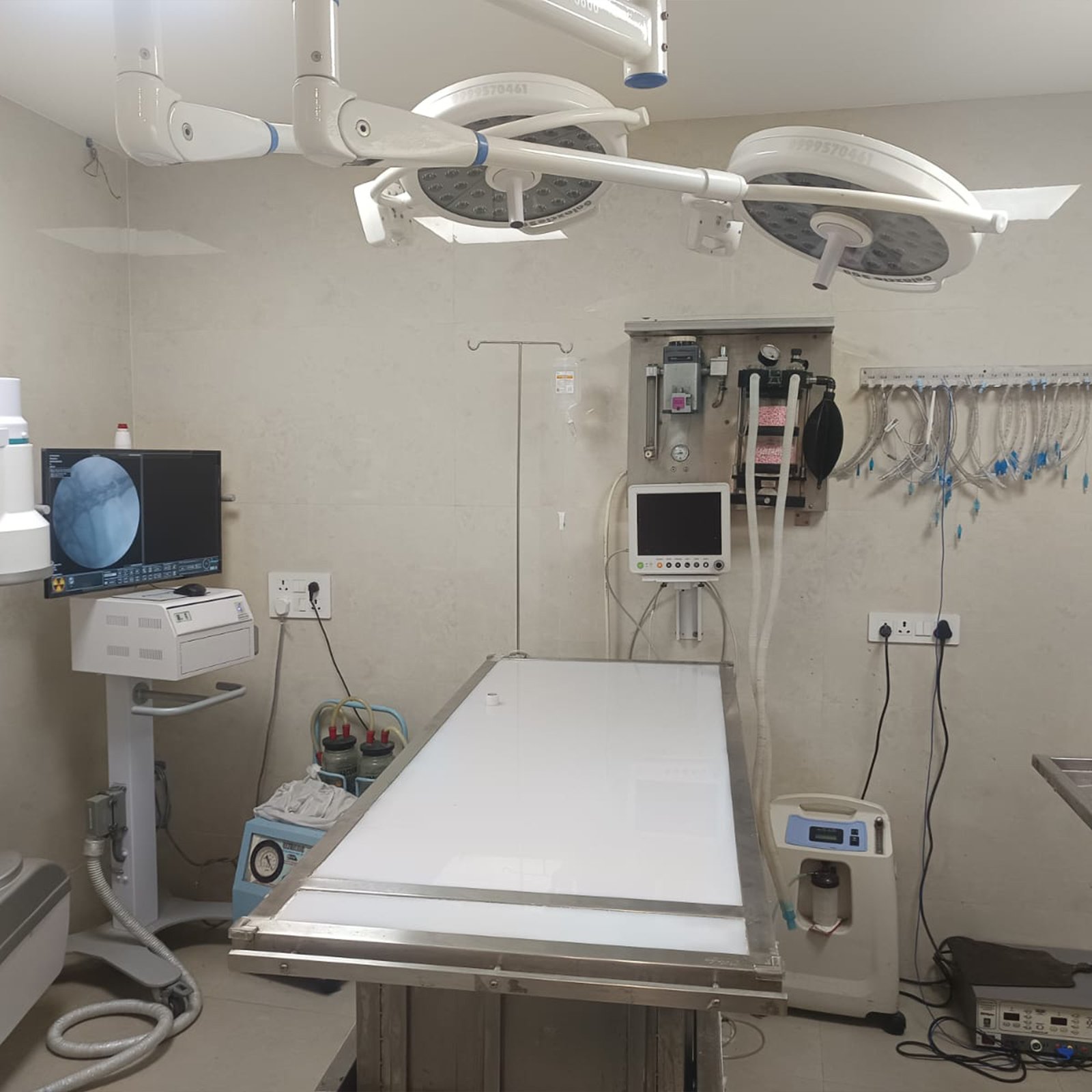 dr-anand-pet-clinic-32